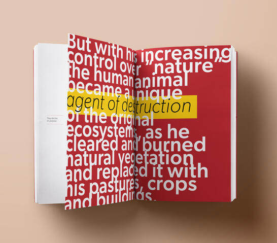 'Everything is Fine [on Fire]' publication design